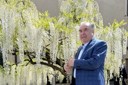 Шиносоӣ бо таҷрибаҳои пешқадами ниҳолпарварӣ ва сабзгардонии муҳити зисти шаҳри Пистояи Италия