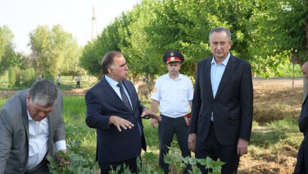ҚУБОДИЁН: БОЗДИДИ РАИСИ ВИЛОЯТ АЗ ИСТИФОДАБАРИИ САМАРАНОКИ ЗАМИН ДАР ХОҶАГИИ ДЕҲҚОНИИ БА НОМИ “МУХТОРХОН”