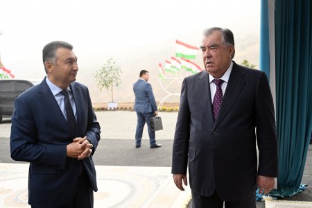 Ба истифода додани хатти интиқоли барқи 220 кВ аз НБО «Роғун» то зеристгоҳи барқии «Роғун»
