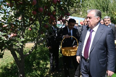 Боздид аз боғи Хоҷагии деҳқонии «Умеда»-и ноҳияи Файзобод