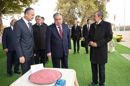 Боздид аз Кооперативи тиҷоратии “Турахон Исанқулов”-и ноҳияи Ҷалолиддини Балхӣ