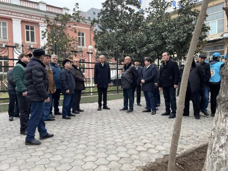 ИМРӮЗ ДАР БОХТАР 15000 ДАРАХТ ВА ГУЛУ ГУЛБУТТАҲОИ МАВСИМӢ ШИНОНИДА ШУД