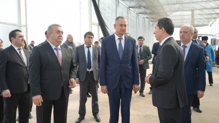 КӮШОНИЁН: БОЗДИД АЗ ГАРМХОНАҲОИ ТИПИ НАВ