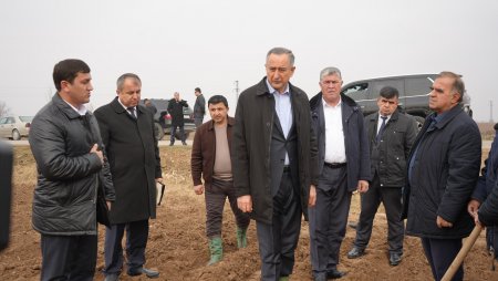 ҚУБОДИЁН. БОЗДИД АЗ РАФТИ КИШТИ КАРТОШКА ДАР ХОҶАГИИ ДЕҲҚОНИИ “ОЙБАҲОР”