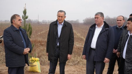 ИШТИРОК ДАР МАЪРАКАИ НИҲОЛШИНОНӢ ВА БОЗДИД АЗ РАФТИ КОРҲОИ СОХТМОНӢ ДАР МУАССИСАИ ТАЪЛИМӢ