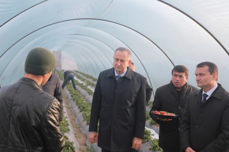 БОЗДИДИ РАИСИ ВИЛОЯТ АЗ ГАРМХОНАҲОИ ХОҶАГИИ ДЕҲҚОНИИ «ЯХАКПАСТ»