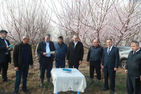 ОҒОЗИ КИШТИ ПУНБАДОНА ДАР НОҲИЯИ ҶАЛОЛИДДИНИ БАЛХӢ