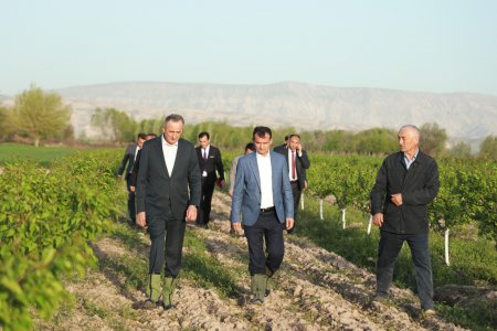 ОҒОЗИ КИШТИ ПАХТА ВА ШИНОСОӢ БО ФАЪОЛИЯТИ ХОҶАГИИ ДЕҲҚОНИИ "ДУБЕДА"