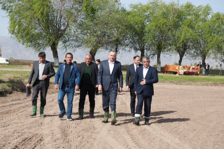 КӮШОНИЁН: ОҒОЗИ КИШТИ ПУНБАДОНА ДАР ХОҶАГИИ ЁРИРАСОНИ ТУХМИПАРВАРИИ БА НОМИ ФАЙЗАЛӢ САИДОВ