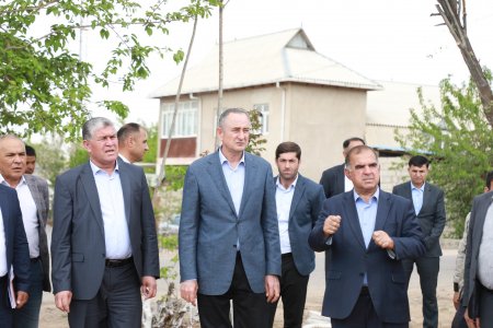 ҚУБОДИЁН: ШИНОСОӢ БО НАШЪУНАМОИ КАРТОШКА ВА ҶАРАЁНИ КИШТИ ПАХТА