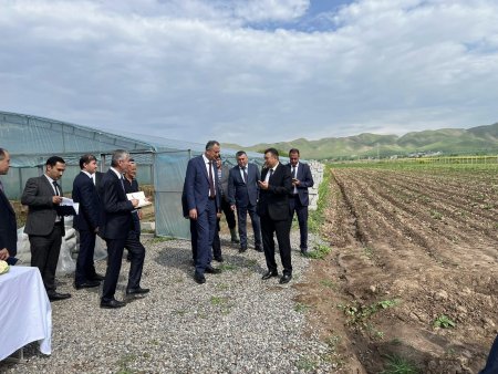 ВОСЕЪ: БОЗДИДИ САРВАЗИРИ МАМЛАКАТ ҚОҲИР РАСУЛЗОДА АЗ ХОҶАГИИ ДЕҲҚОНИИ “ВОСИЛ”