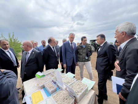 КӮЛОБ. ИШТИРОКИ САРВАЗИРИ МАМЛАКАТ ДАР МАЪРАКАИ КИШТИ ПУНБАДОНА ДАР ҶДММ “ПАХТАИ КӮЛОБ”