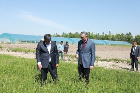 ПАНҶ: БОЗДИДИ РАИСИ ВИЛОЯТ АЗ ГАРМХОНАИ ХОҶАГИИ ДЕҲҚОНИИ "ҲОҶӢ УРОҚ"
