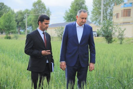 БОХТАР: БОЗДИДИ РАИСИ ВИЛОЯТ АЗ ПАРВАРИШИ ПОМИДОРИ БАРВАҚТӢ, НАШЪУНАМОИ КАРТОШКА ВА ҶАРАЁНИ КОРҲОИ СОХТМОНӢ