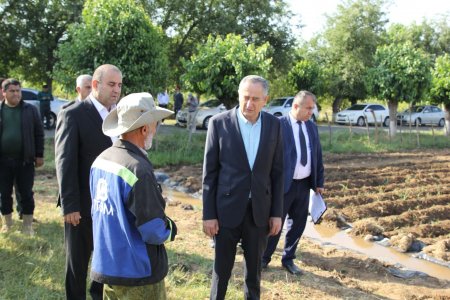 БОЗДИДИ РАИСИ ВИЛОЯТИ ХАТЛОН АЗ ХОҶАГИИ ДЕҲҚОНИИ “ХОЛИЁН”