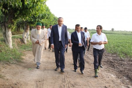 БОЗДИДИ ДАВЛАТАЛӢ САИД АЗ ФАЪОЛИЯТИ ХОҶАГИИ ДЕҲҚОНИИ «САВЛАТБЕК»