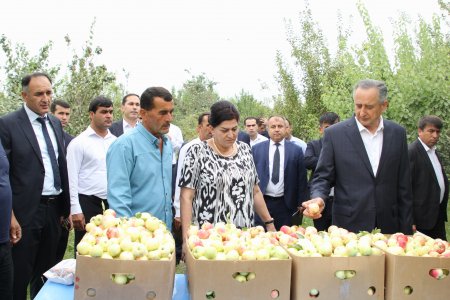 РАИСИ ВИЛОЯТ БО ФАЪОЛИЯТИ ХОҶАГИҲОИ КИШОВАРЗИИ ШАҲРИ ЛЕВАКАНТ ШИНОС ШУД