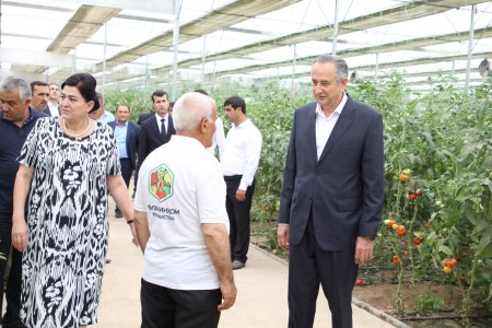 БОЗДИД АЗ ГАРМХОНАҲОИ ИННОВАТСИОНИИ ҶДММ «ВИТАМИНҲОИ ТОҶИКИСТОН»