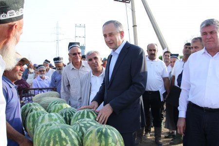 ВОСЕЪ: БОЗДИД АЗ НАШЪУНАМОИ ПАХТА ВА КИШТИ ТАКРОРӢ ДАР ХОҶАГИИ ДЕҲҚОНИИ “САФОЛ”