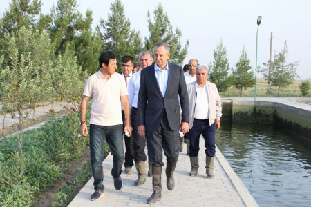 ВОСЕЪ: БОЗДИД АЗ САМАРАНОК ИСТИФОДАБАРИИ ЗАМИН ДАР ХОҶАГИИ ДЕҲҚОНИИ “АБДУҶАББОР”