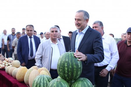 ВОСЕЪ: БОЗДИД АЗ НАШЪУНАМОИ ПАХТА, САБЗАВОТҲО ВА КИШТИ ТАКРОРӢ ДАР ХОҶАГИИ ДЕҲҚОНИИ “СИНО-2010”