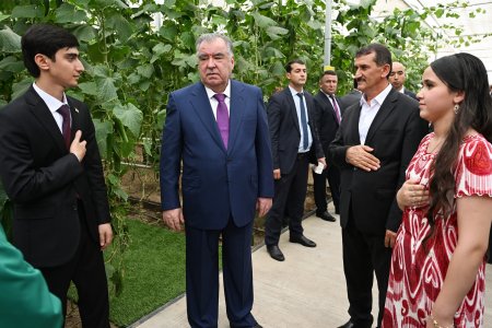 Ба истифода додани гармхонаи замонавии Кооперативи тиҷоратии “Донаҳои Умед” дар шаҳри Душанбе